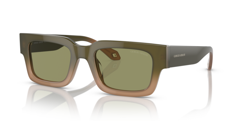 ARMANI サングラス FramesDirect.com | Sunglasses AR8184U Armani Giorgio 小物