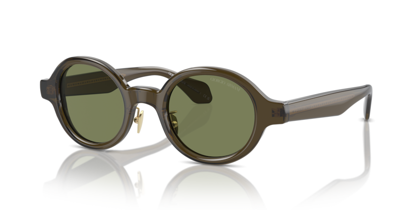 Giorgio Armani AR8205 Sunglasses | Select Eyewear