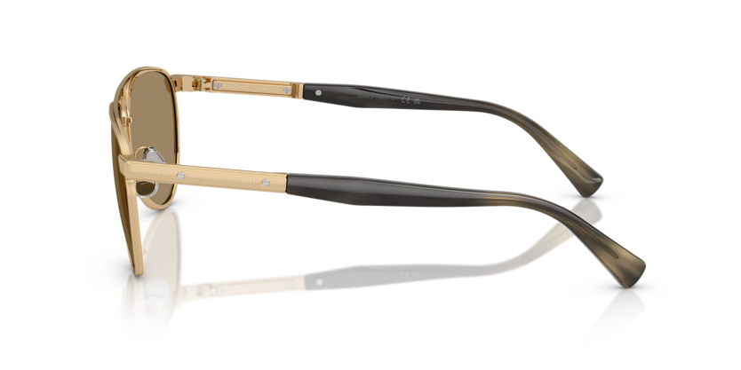 BC2007SM