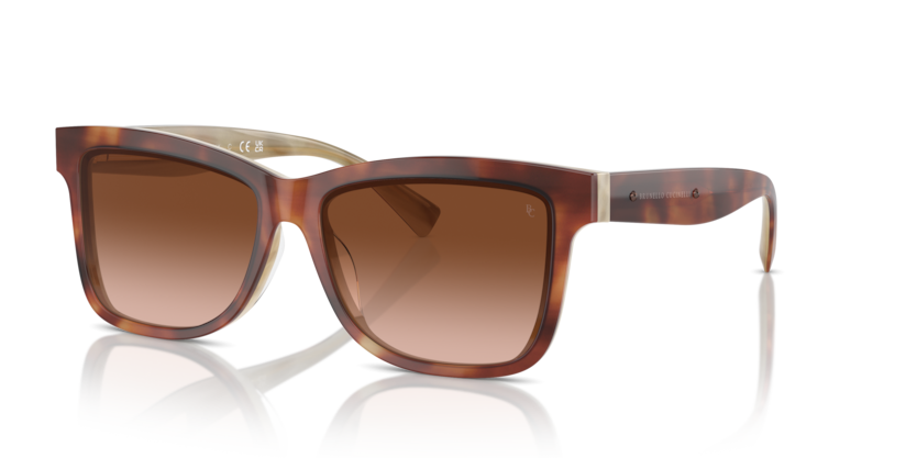 BC4009S
