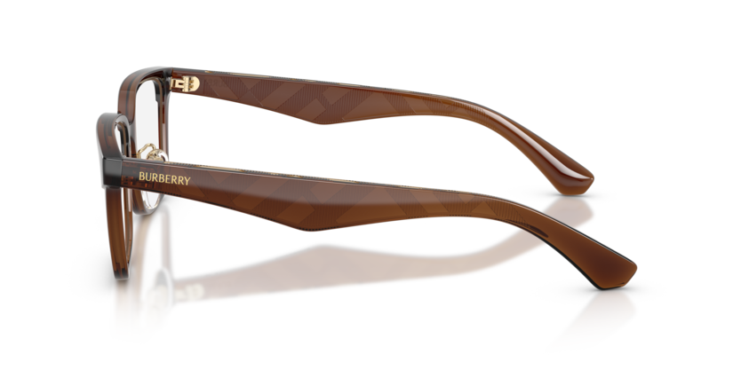 BE2450D