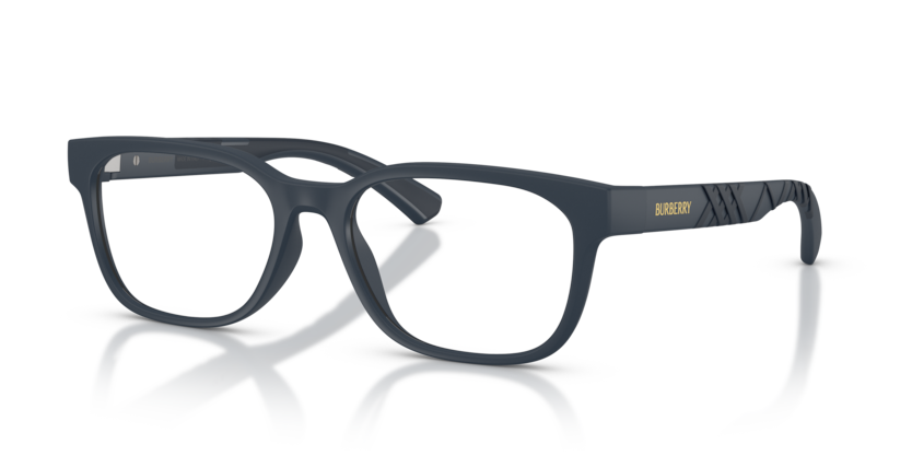 BE2460D