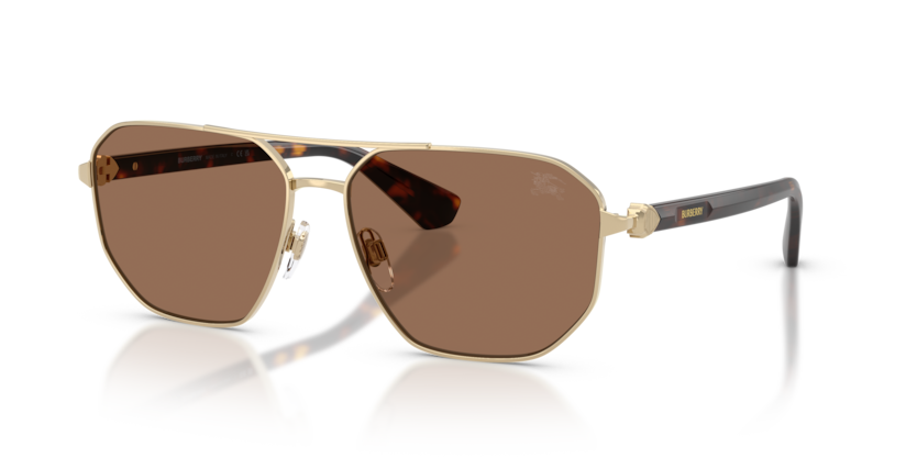 BE3166