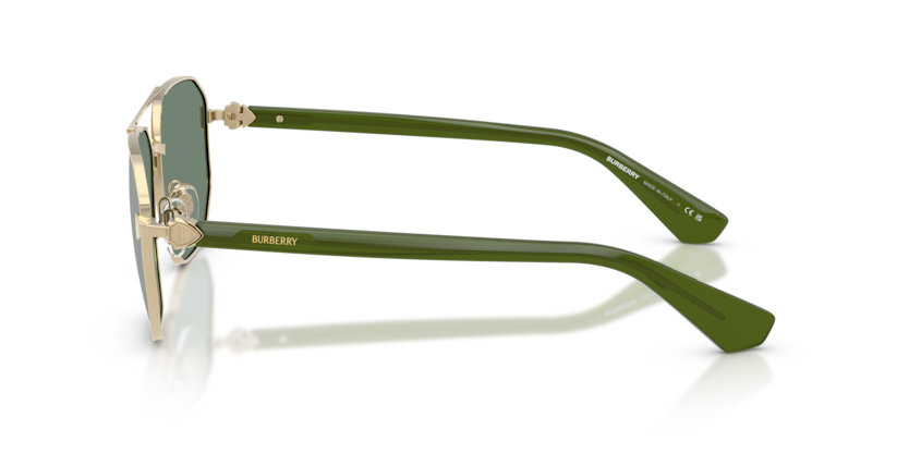 BE3166
