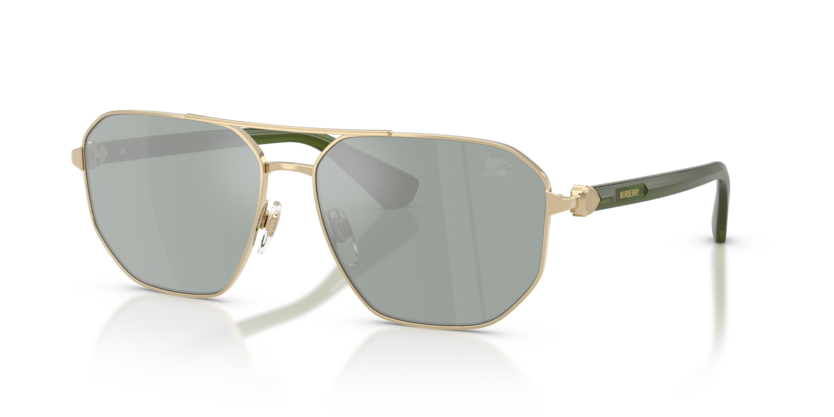 BE3166