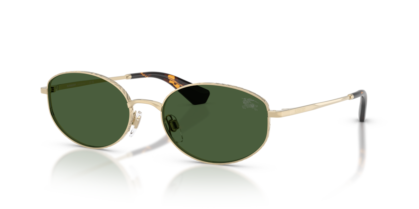 BE3169