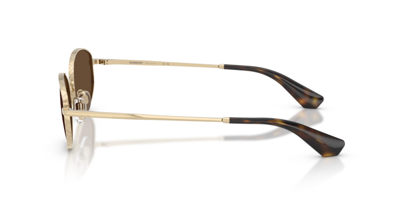 BE3169