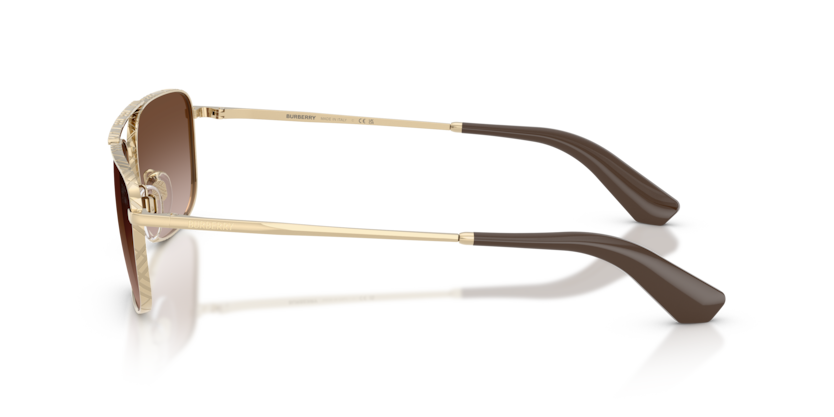 BE3170