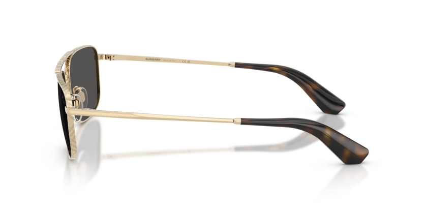 BE3170
