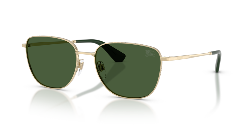 BE3171