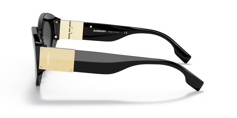 BE4361 - SOPHIA