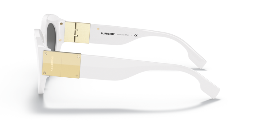 BE4361 - SOPHIA