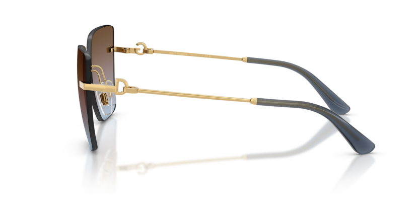 DG2321