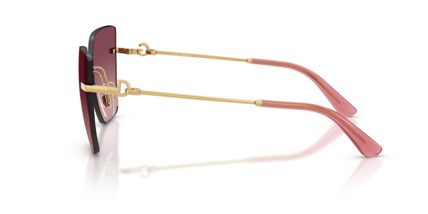 DG2321