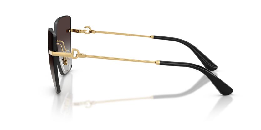 DG2321