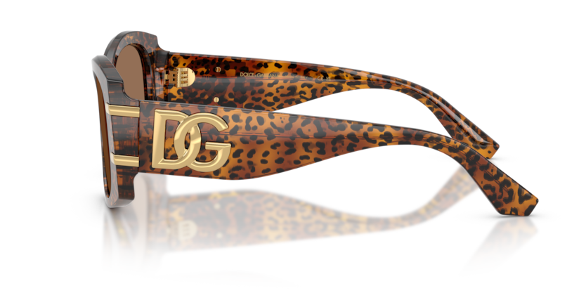 DG4501
