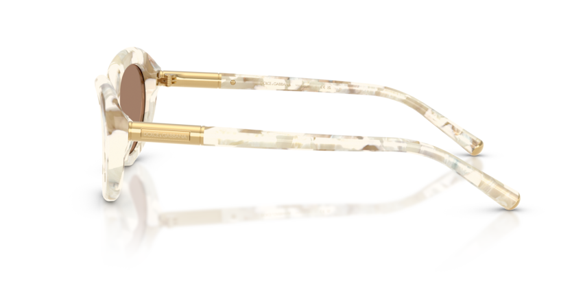 DG4519