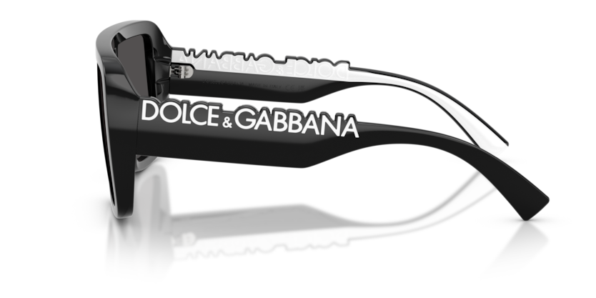 DG6204