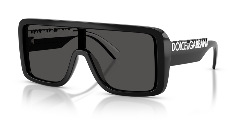 DG6204