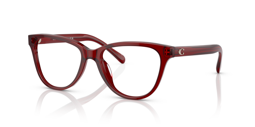 Coach HC6202U Eyeglasses | Select Eyewear display picture 1