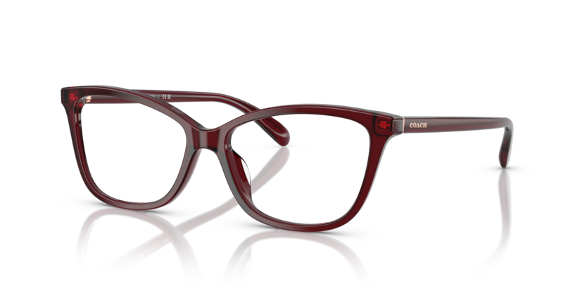 Coach HC6206U Eyeglasses | Select Eyewear display picture 2