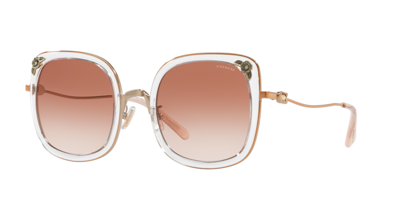 HC7101B - L1081