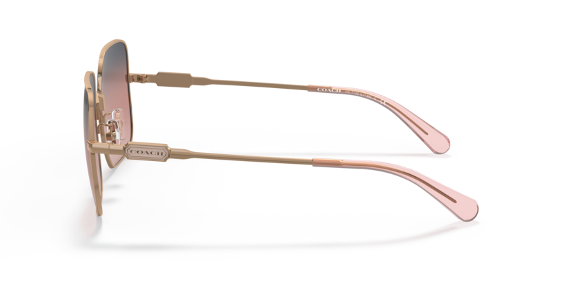 HC7120 - L1169