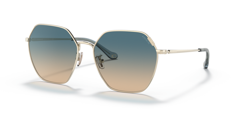 Coach HC7132 - C7998 Sunglasses | Select Eyewear