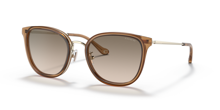 Coach HC7135 - C7999 Sunglasses | Select Eyewear