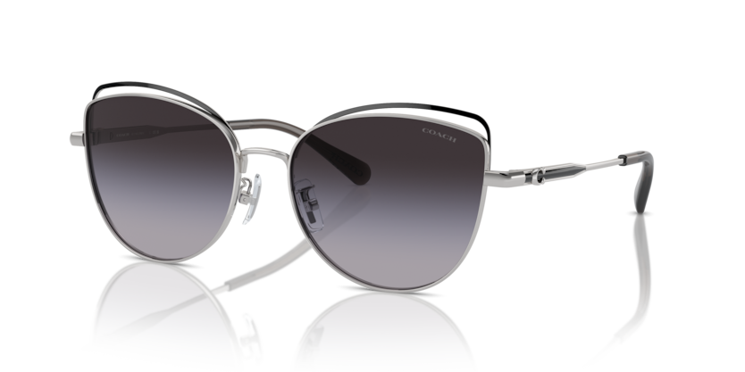 Coach HC7162 - CR621 Sunglasses | Select Eyewear