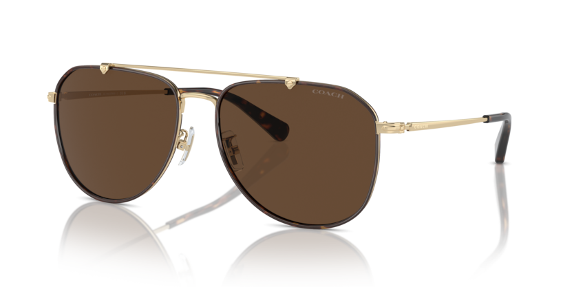 Coach HC7164 - CR626 Sunglasses | Select Eyewear