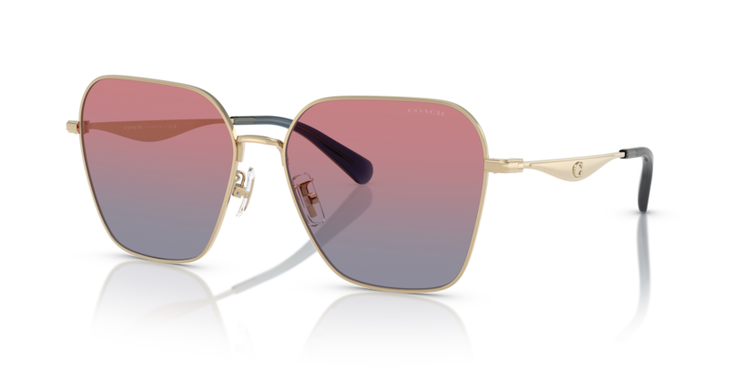 カール Coach HC7168 - CW189 Sunglasses | Select Eyewear