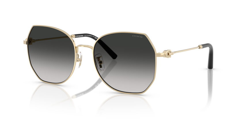 Coach HC7175 - CAD79 Sunglasses | Select Eyewear Coach HC7175 - CAD79 Sunglasses | Select Eyewear