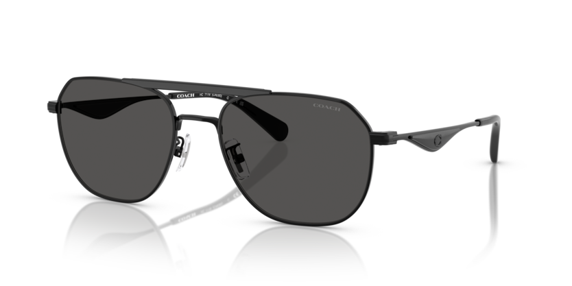 Coach HC7178 - CAE80 Sunglasses | Select Eyewear