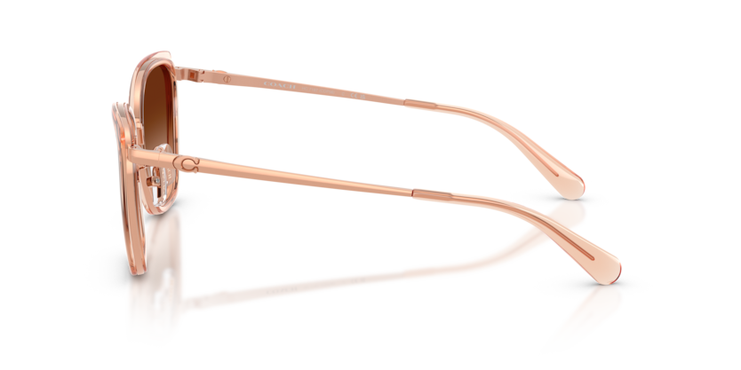 HC7187 - CDP56