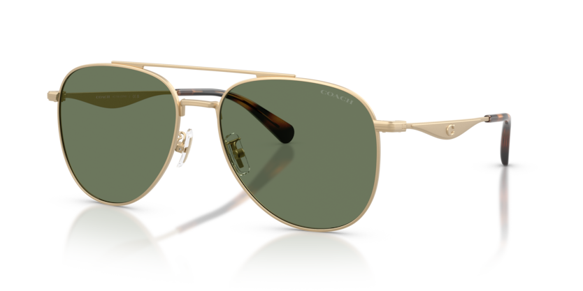 HC7190 - CDP40