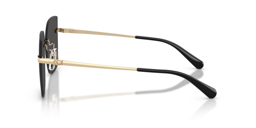 HC7193D - CDP45