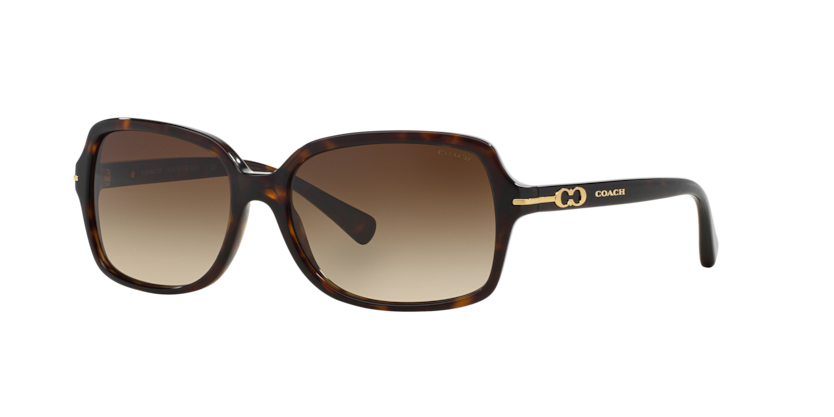 cch87080 Coach HC8116 - L087 BLAIR Sunglasses | Select Eyewear