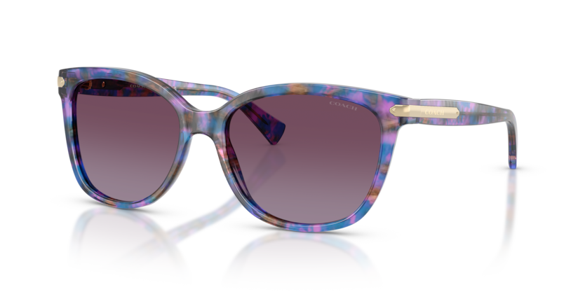 Coach HC8132 - L109 Sunglasses | Select Eyewear display picture 1