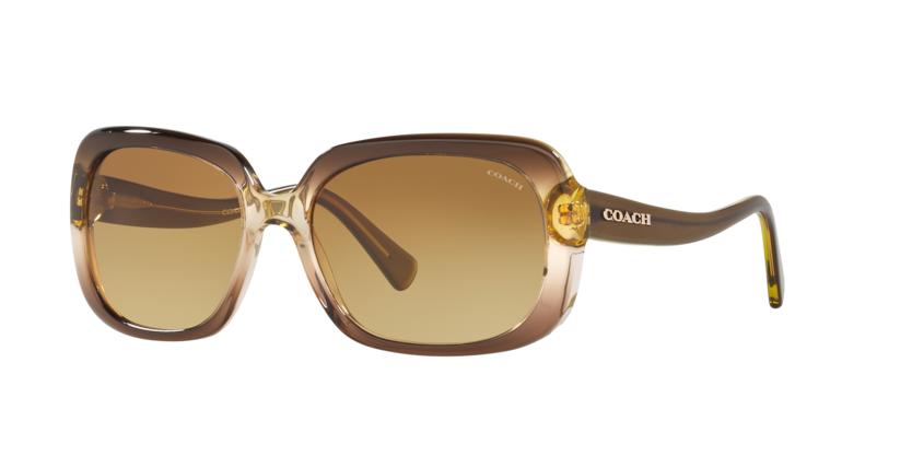 Coach HC8178 - L1591 Sunglasses | Select Eyewear
