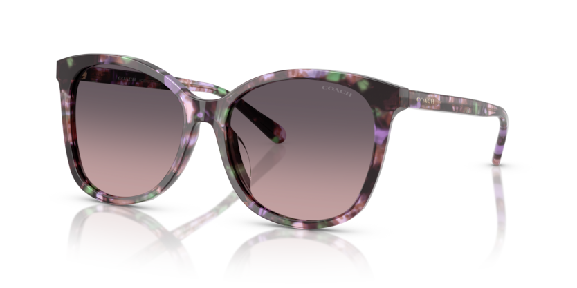 Coach HC8271U - L1101 Sunglasses | Select Eyewear