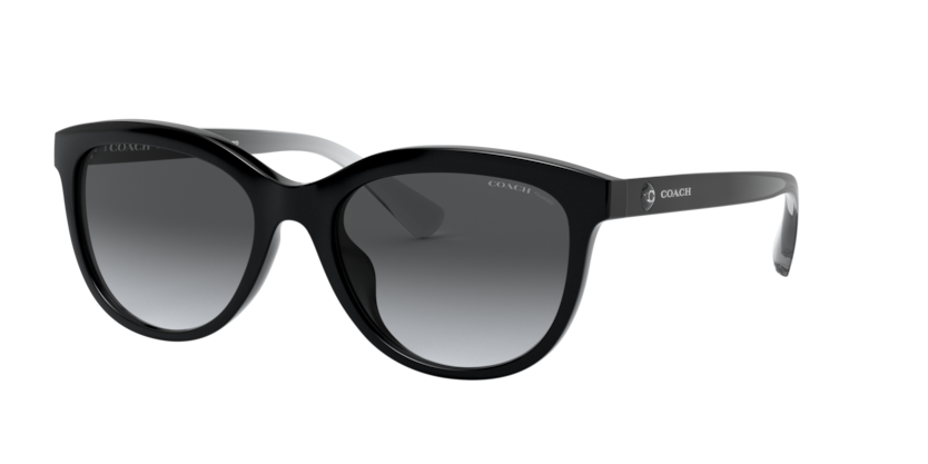 Coach HC8285U - L1137 Sunglasses | Select Eyewear