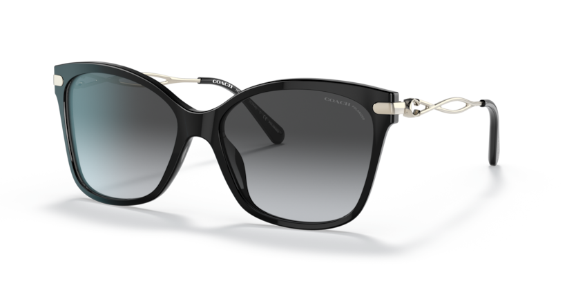 Coach HC8316 - C3446 Sunglasses | Select Eyewear display picture 3