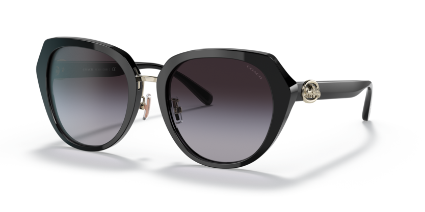 Coach Sunglasses HC8331 Amazon.com: COACH HC8331 Sunglasses, Dark Tortoise/Brown  main image 2