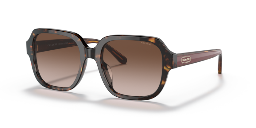 Coach HC8335U - C7989 Sunglasses | Select Eyewear