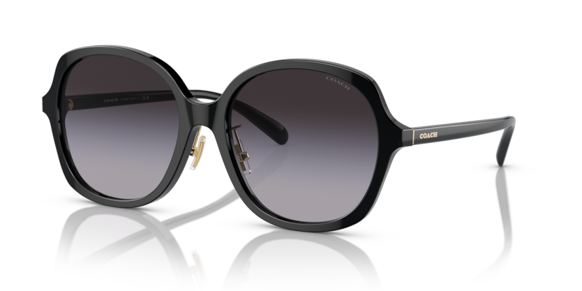 Coach HC8360F - CH610 Sunglasses | Select Eyewear