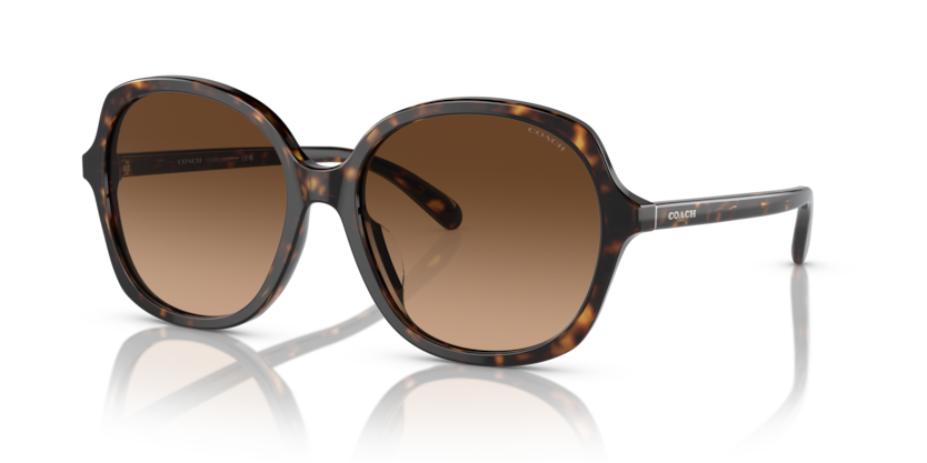 エアロコーチ 60t Coach HC8360U - CH557 Sunglasses | Select Eyewear