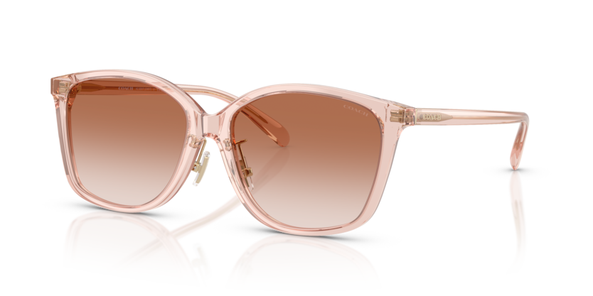 Coach HC8361F - CH617 Sunglasses | Select Eyewear