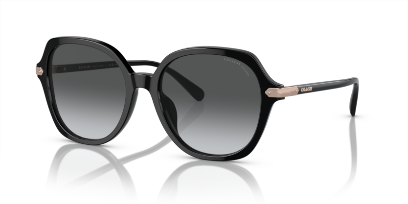 Coach HC8377U - CL925 Sunglasses | Select Eyewear display picture 1