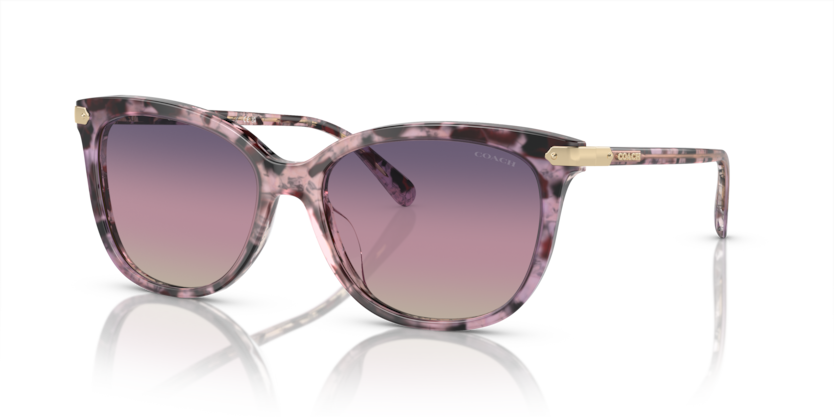 Coach HC8378U - CL926 Sunglasses | Select Eyewear